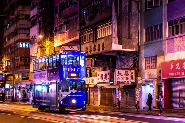 Hong Kong Nighit City