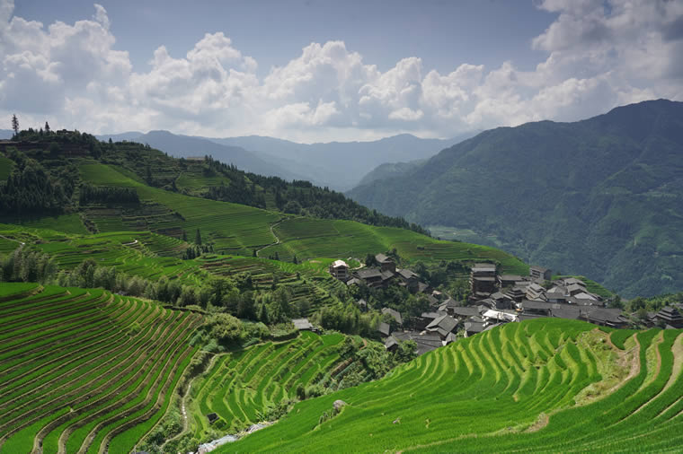 Longji Rice Terraces